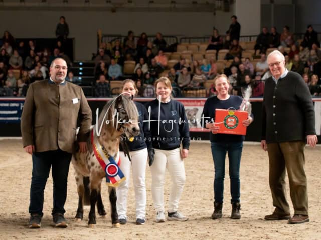 PSB Schaunachmittag 27