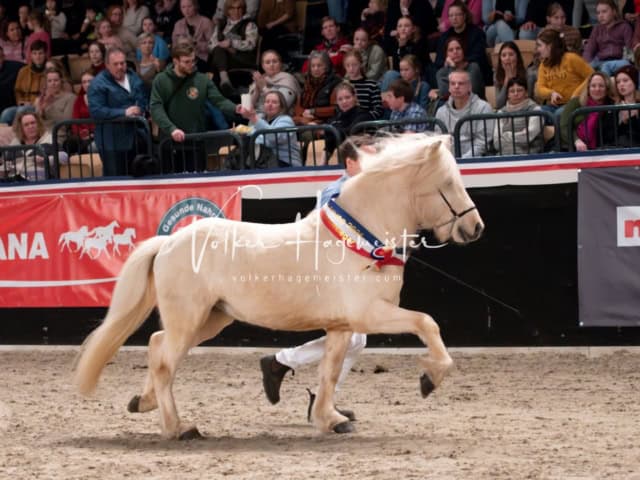 PSB Schaunachmittag 28