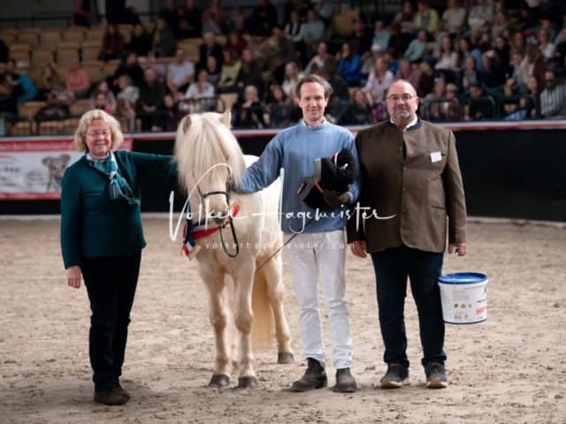 PSB Schaunachmittag 29