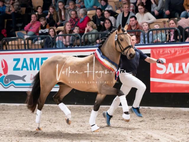 PSB Schaunachmittag 30