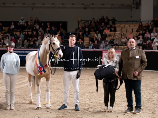 PSB Schaunachmittag 4