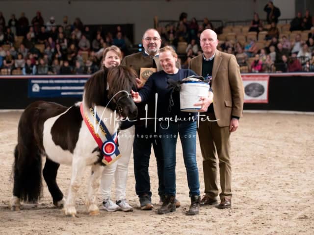 PSB Schaunachmittag 6