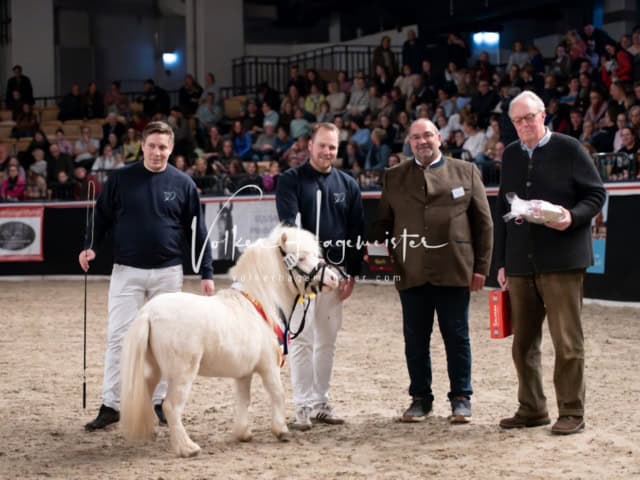 PSB Schaunachmittag 9