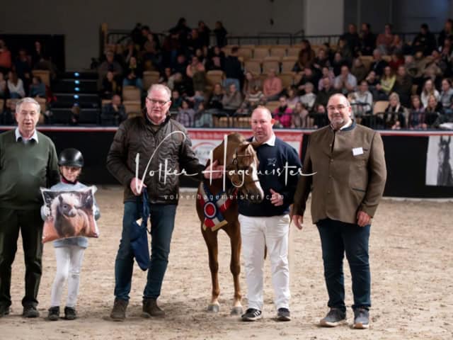 PSB Schaunachmittag 14