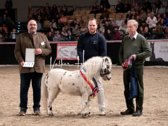 PSB Schaunachmittag 18