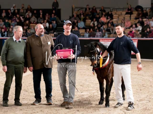 PSB Schaunachmittag 19