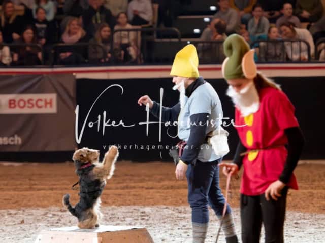 PSB Schaunachmittag 20