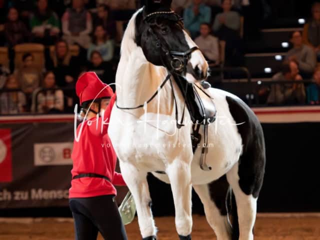 PSB Schaunachmittag 22