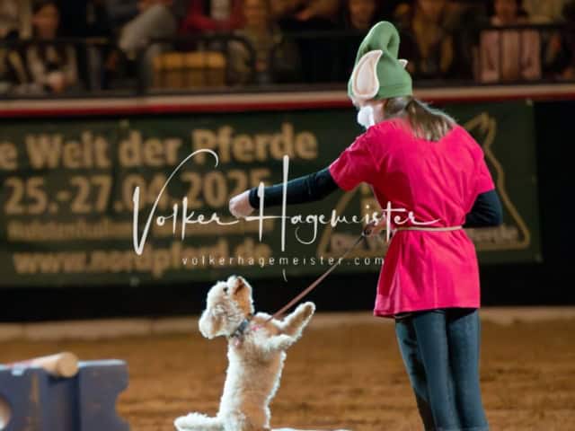 PSB Schaunachmittag 23