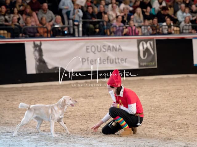 PSB Schaunachmittag 24