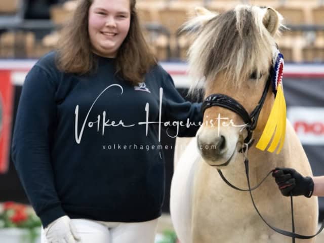 PSB Körung unsortiert 3