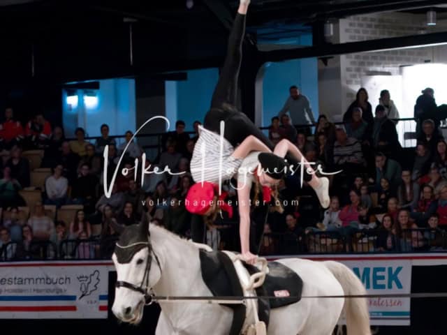 PSB Schaunachmittag 28