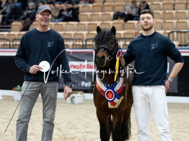 PSB Körung Sieger mehr folgt 5