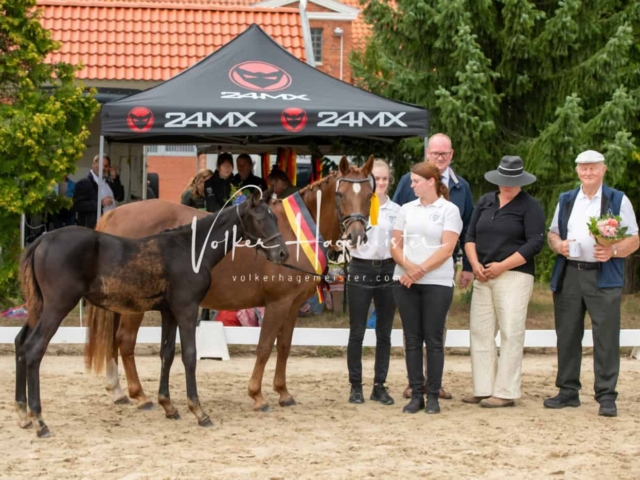 ZfdP Frühjahrskörung 12