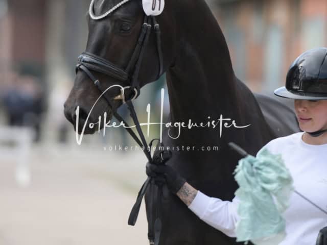 ZfdP Frühjahrskörung 14