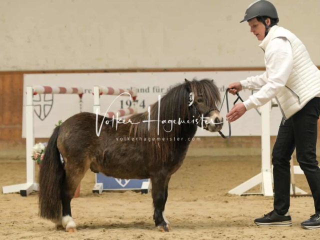 ZfdP Frühjahrskörung 4