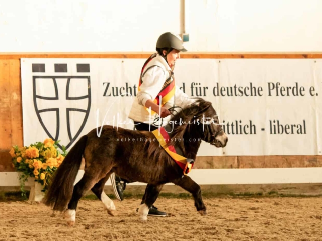 ZfdP Frühjahrskörung 13