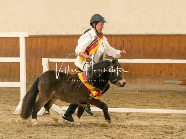 ZfdP Frühjahrskörung 14