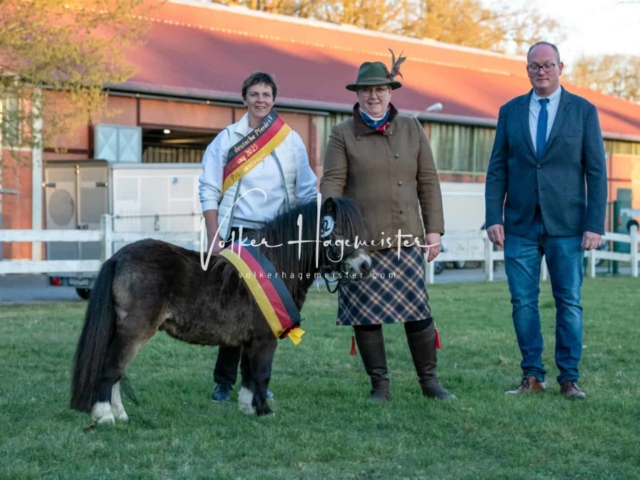 ZfdP Frühjahrskörung 19