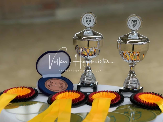 ZfdP Frühjahrskörung 24