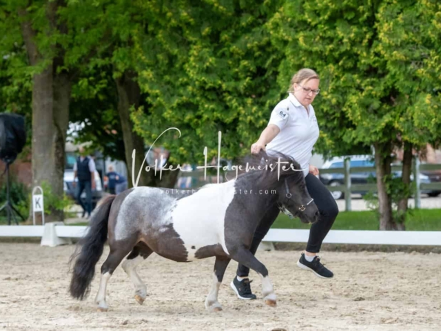 ZfdP Frühjahrskörung 20
