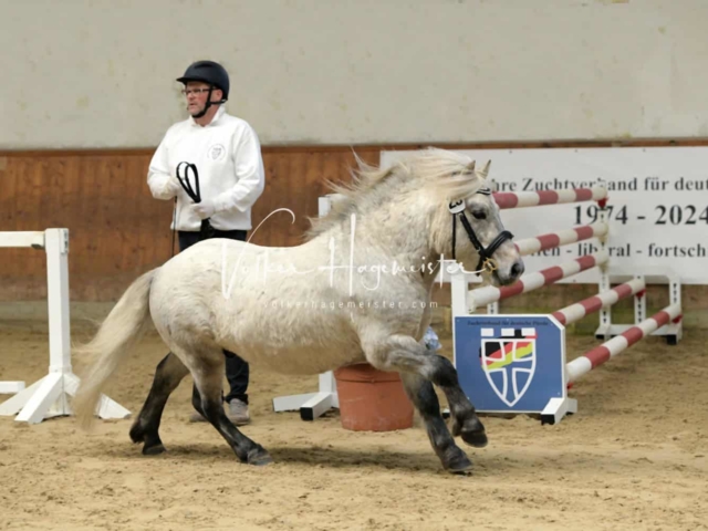 ZfdP Frühjahrskörung 28