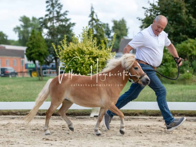ZfdP Frühjahrskörung 7