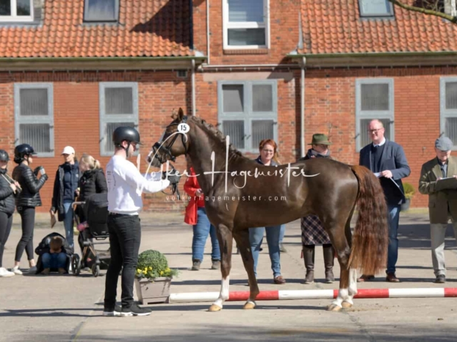 ZfdP Frühjahrskörung 16