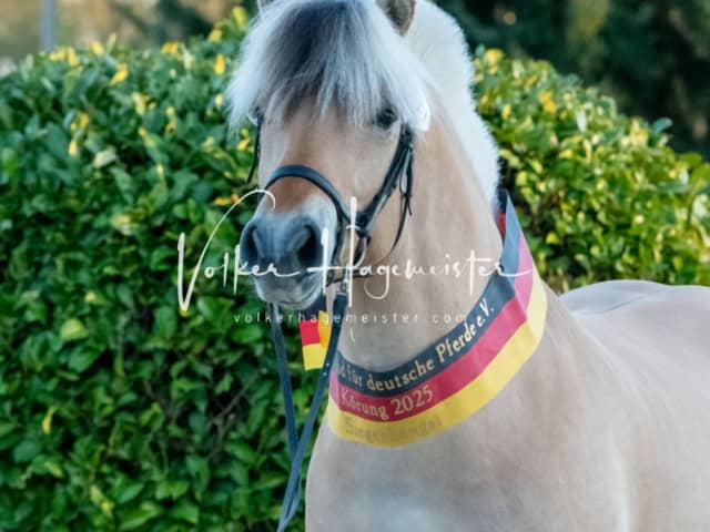 ZfdP Frühjahrskörung 16