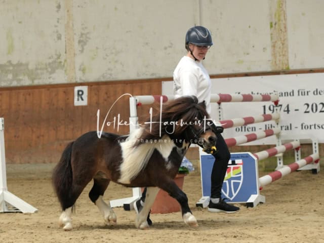 ZfdP Frühjahrskörung 20