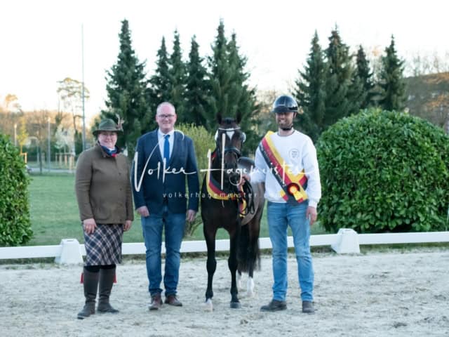 ZfdP Frühjahrskörung 26