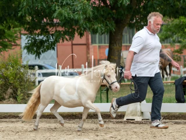 ZfdP Frühjahrskörung 21