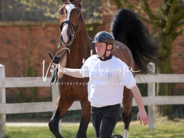 ZfdP Frühjahrskörung 11