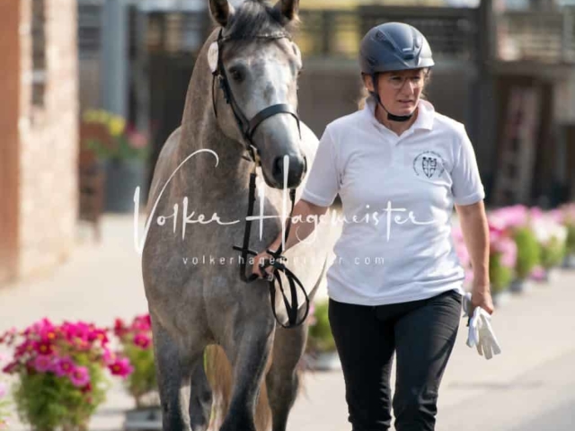 ZfdP Sommerkörung 6