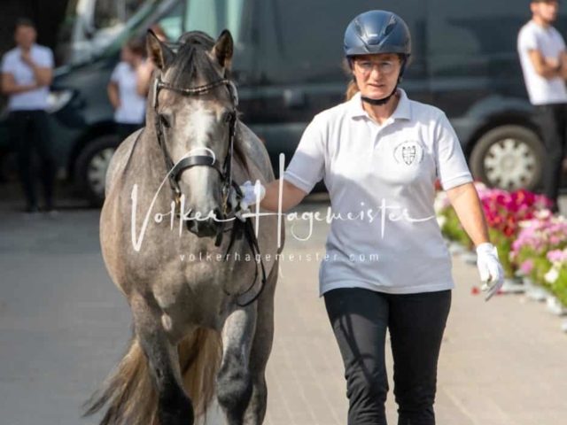 ZfdP Sommerkörung 9