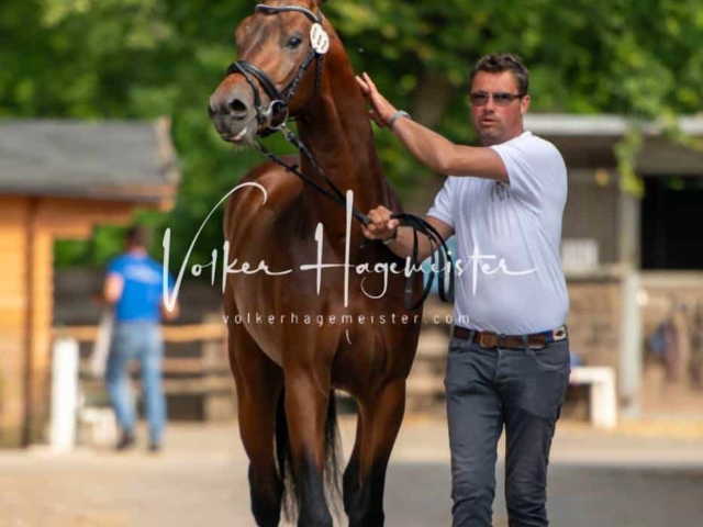 ZfdP Sommerkörung 22