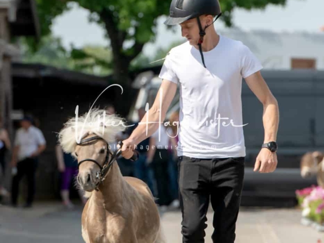 ZfdP Sommerkörung 29