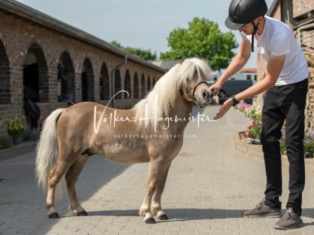 ZfdP Sommerkörung 30