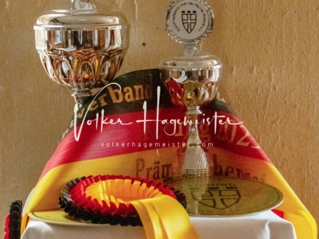 ZfdP Sommerkörung 7