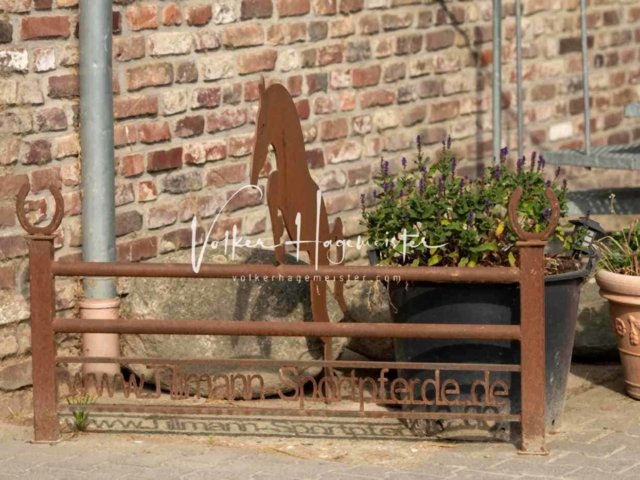 ZfdP Sommerkörung 11