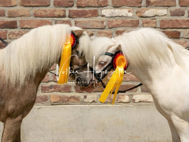 ZfdP Sommerkörung 21