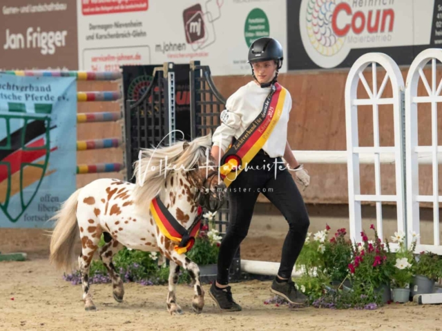 ZfdP Sommerkörung 6