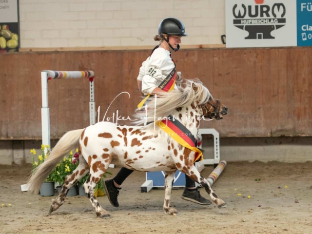 ZfdP Sommerkörung 7
