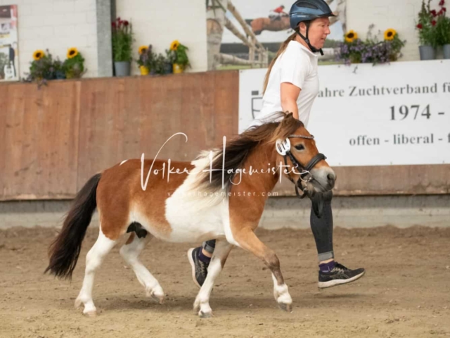 ZfdP Sommerkörung 11