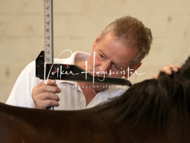 ZfdP Sommerkörung 13