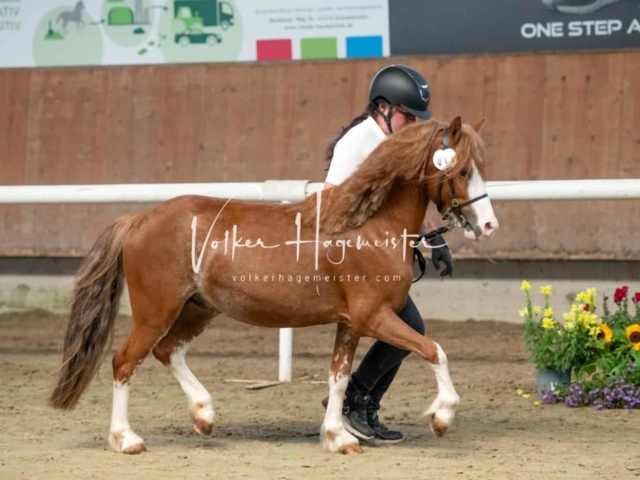 ZfdP Sommerkörung 22