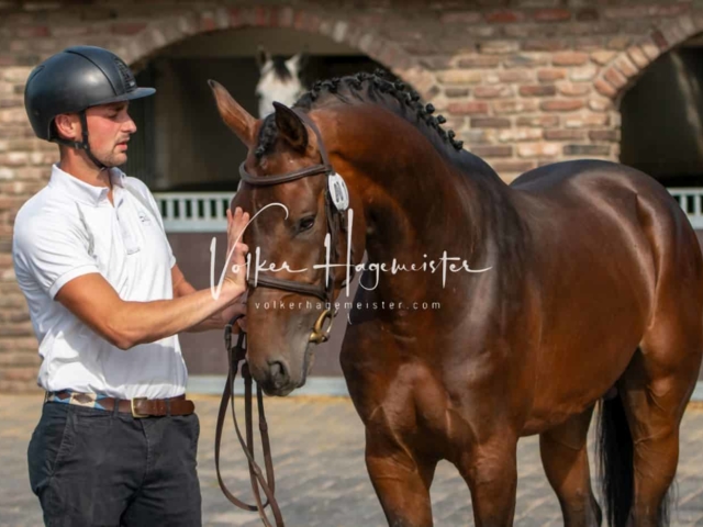 ZfdP Sommerkörung 3