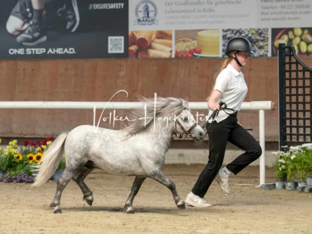 ZfdP Sommerkörung 13