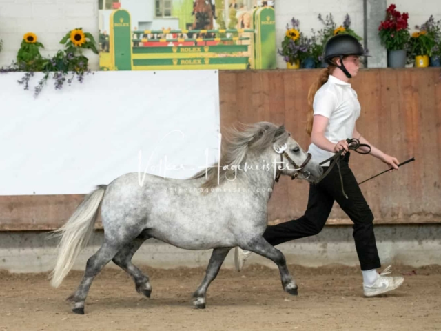 ZfdP Sommerkörung 14