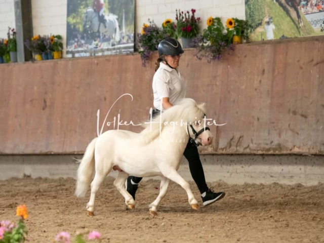 ZfdP Sommerkörung 21